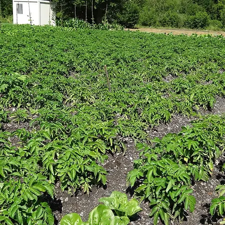 酒店 Casa Laplaza 3*